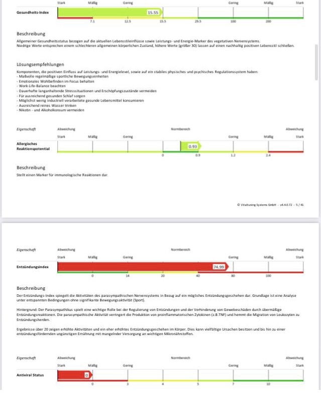 Biovitalscan- Biovitalanalyse Diagramm von ChilligGesund